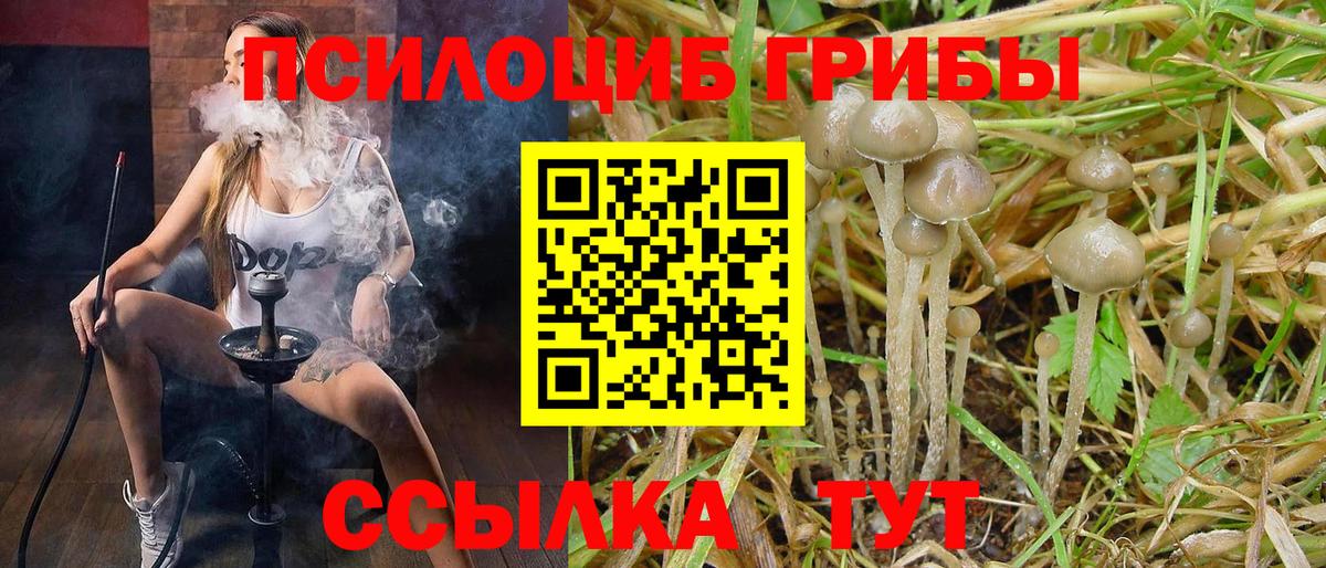 где найти наркотики  Галлюциногенные грибы мицелий  Вход с VPN  Сорочинск 
