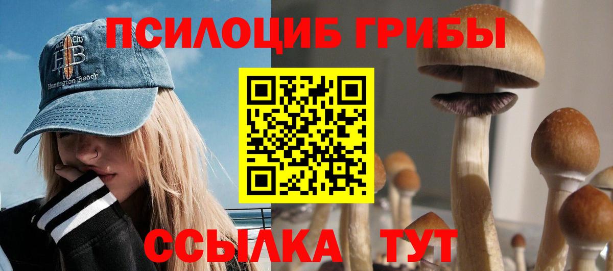 Псилоцибиновые грибы ЛСД Сорочинск